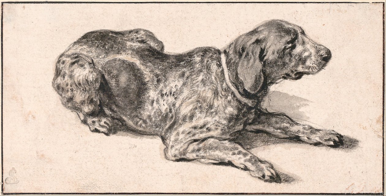 Liggende hund av Aelbert Cuyp
