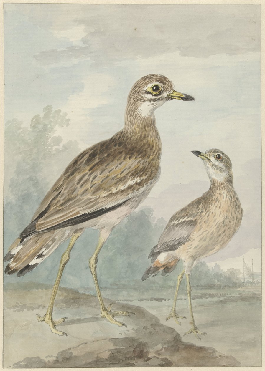 To skrik av Aert Schouman