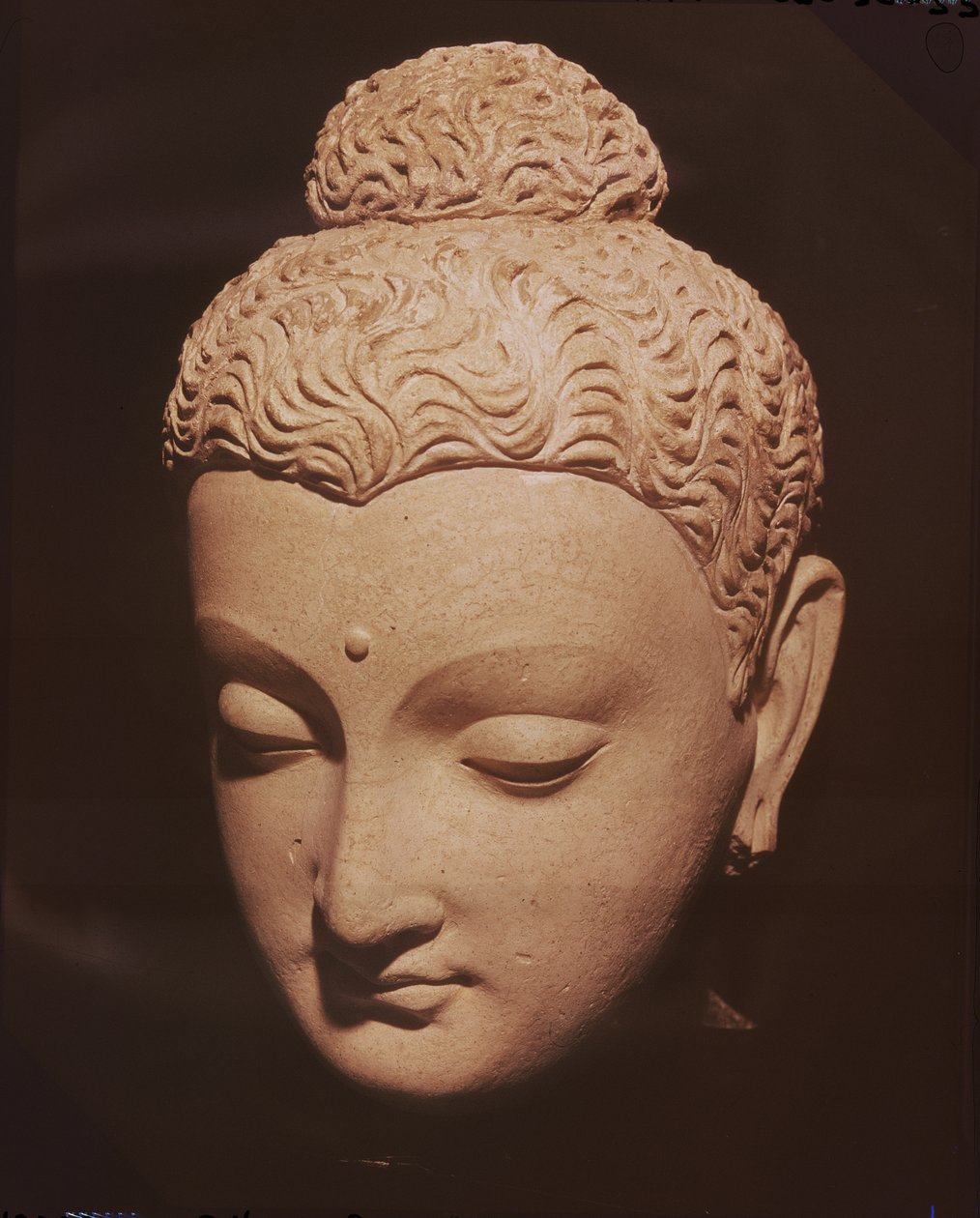 Buddha-hode, gresk-buddhistisk stil, fra Hadda (stukk) av Afghan School