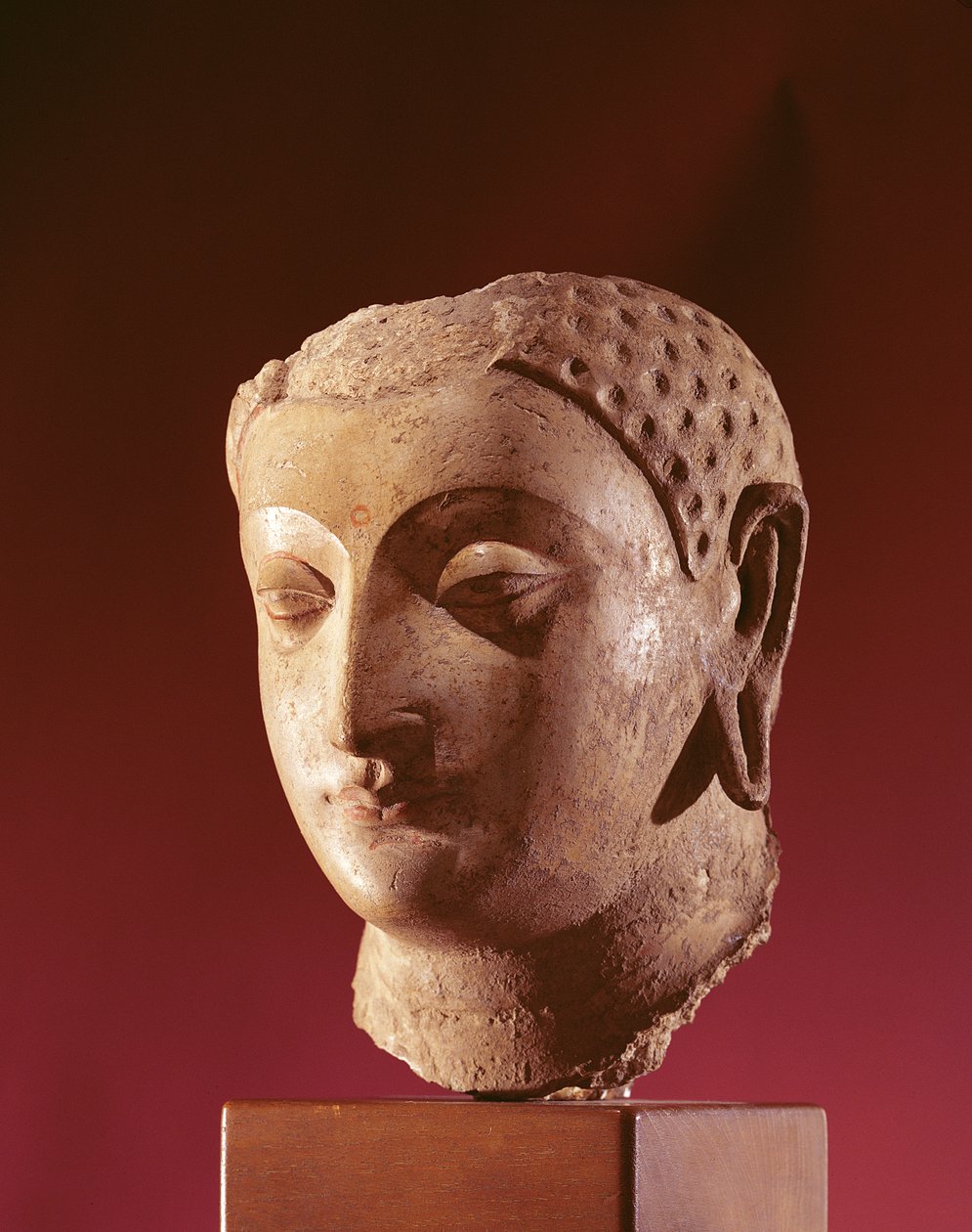 Buddhas hode, ca. 500-tallet (stucco med gesso og spor av maling) av Afghan School