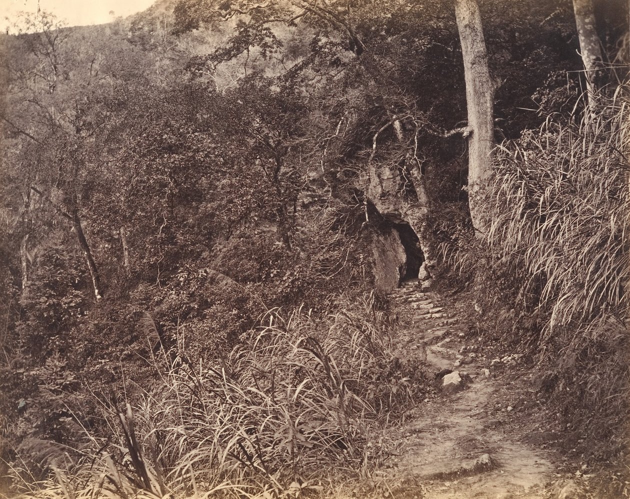 Venstre vei opp til Yuen foo kloster, ca. 1869. av Afong Lai
