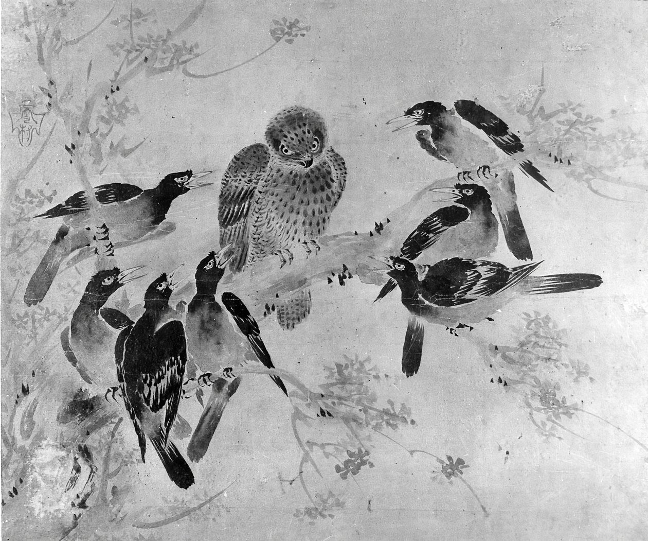 Mynah-fugler som angriper en ugle, sannsynligvis 1800-tallet. av after Sesson Shūkei