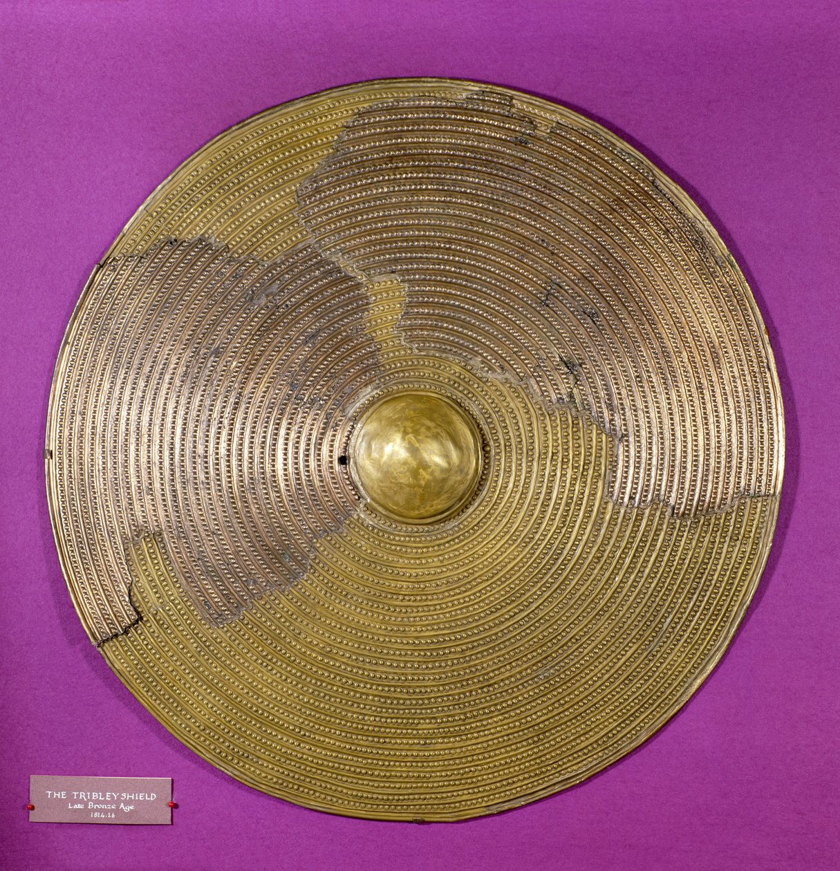 Skjold fra Tribley, sen bronsealder (bronse) av Age Bronze