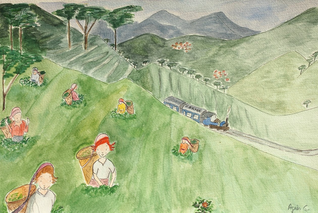 The Voyage, Darjeeling 2015 , akvarell på papir av Agnes Girardon