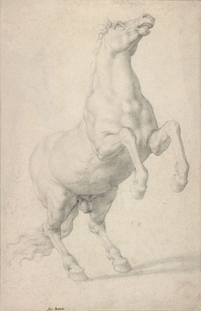 Oppdrettshest av Agnolo Bronzino