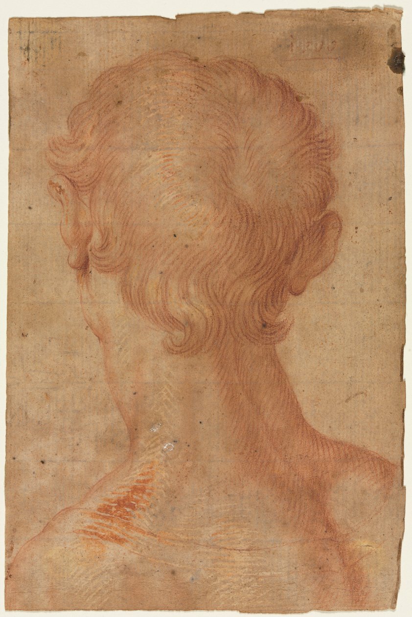 Männerkopf von hinten av Agnolo Bronzino