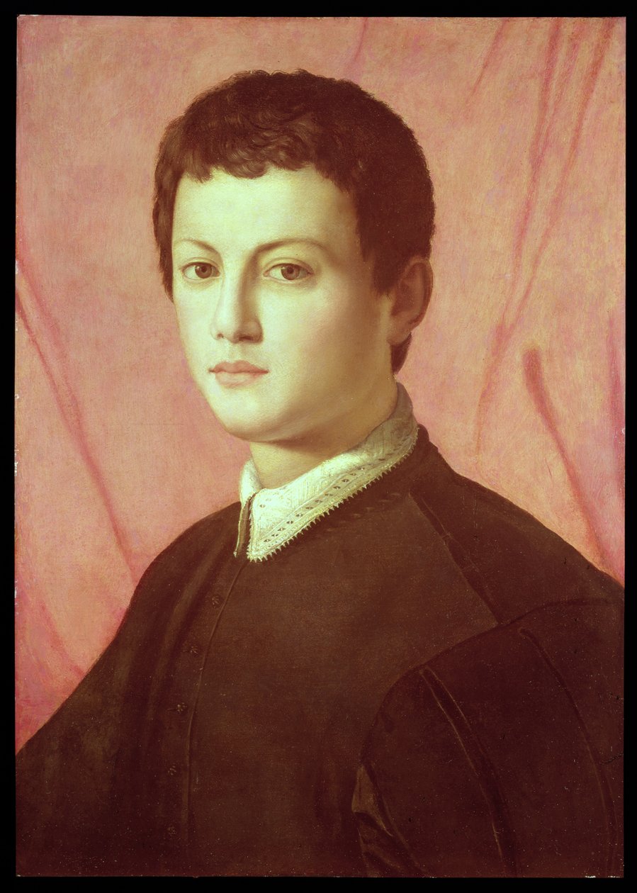 Portrett av en ung mann (panel) av Agnolo Bronzino