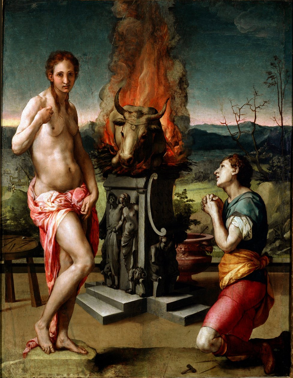 Pygmalion og Galatee (eller Galathee) Maleri av Agnolo di Cosimo di Mariano i Il Bronzino (1502-1572) 1529-1530 Søn. 81x63 cm Firenze, Galleria degli Uffizi (Museum of the Uffizi) av Agnolo Bronzino