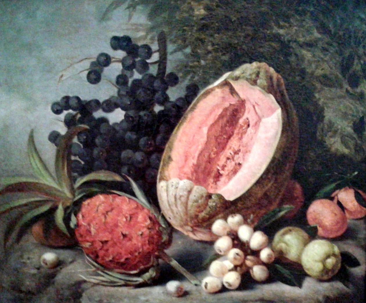 Gresskar og ananas av Agostinho Jose da Mota