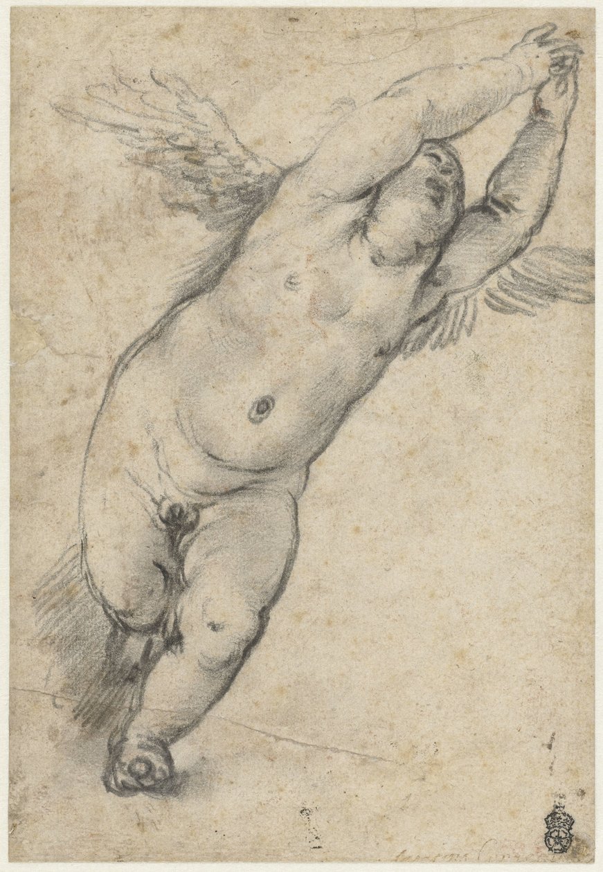 Flyvende putto med armene hevet av Agostino Carracci (attributed to)