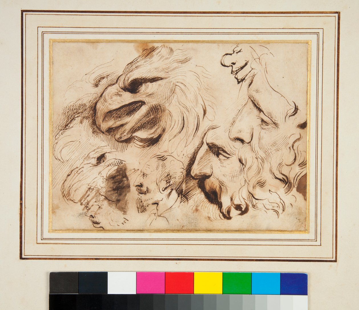 Studieark med hodet til en ørn og menns profiler og karikaturer (penn og brunt blekk og litt brun vask) av Agostino Carracci
