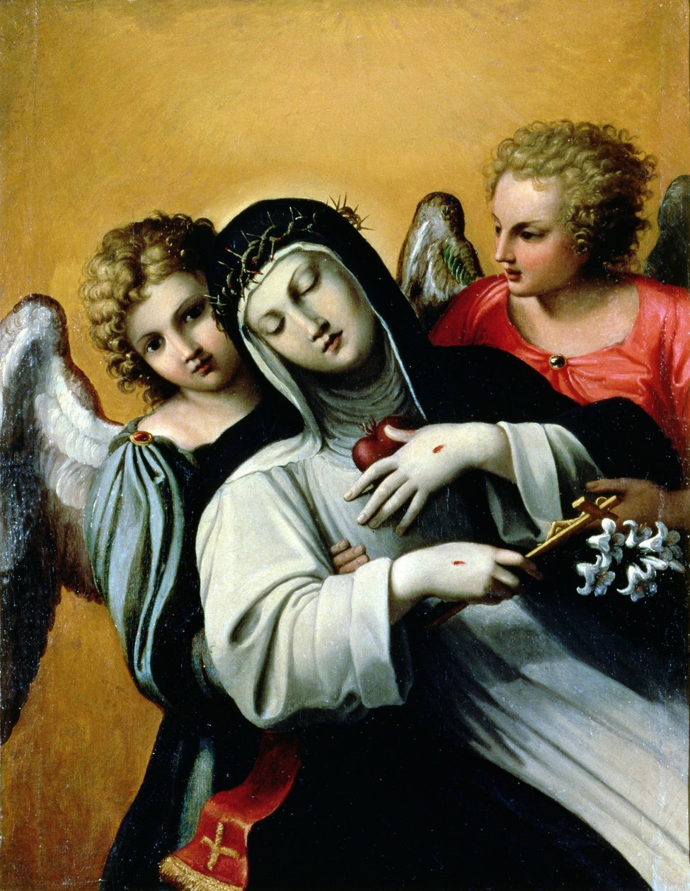 The Ecstasy of Saint Catherine (olje på lerret) av Agostino Carracci
