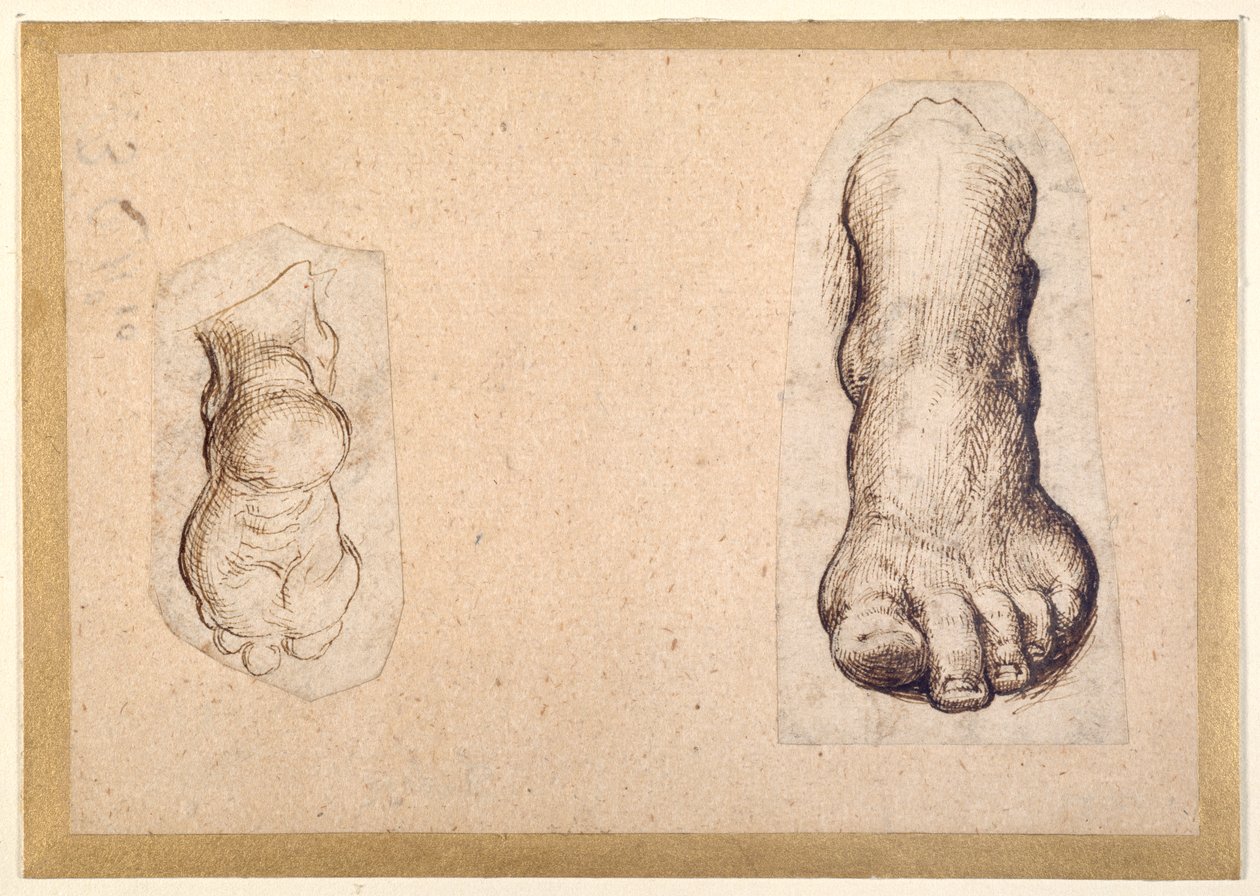 To studier av en fot i forkorting (penn og blekk på papir) av Agostino Carracci