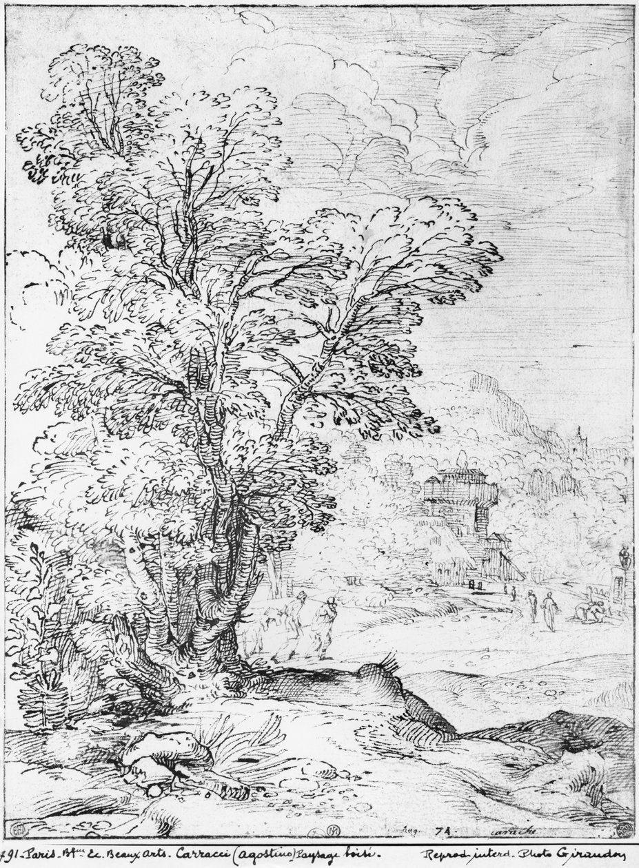 Skoglandskap (penn og blekk på papir) (bw-bilde) av Agostino Carracci
