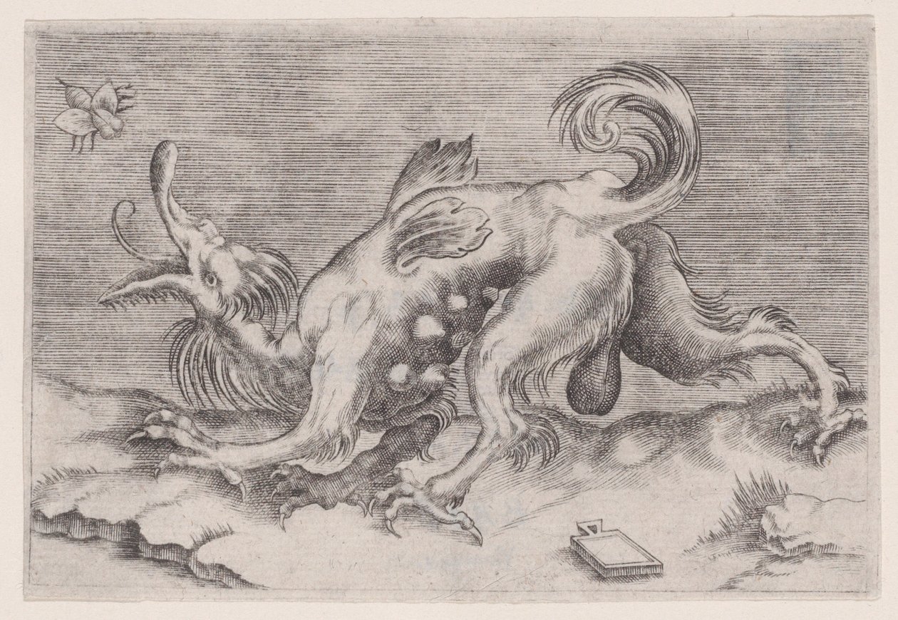 Dragen og bien, ca. 1514-36. av Agostino Veneziano