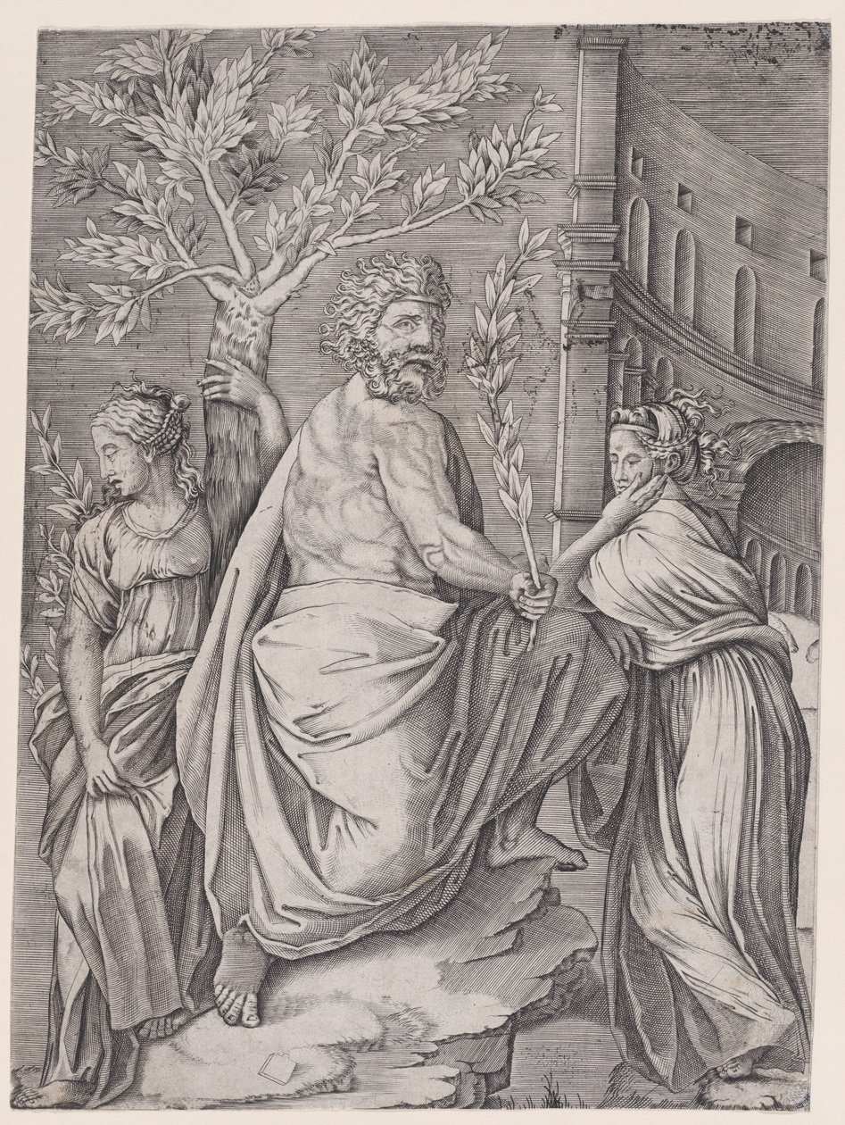 Mannen med en laurbærgren, ca. 1514-36. av Agostino Veneziano