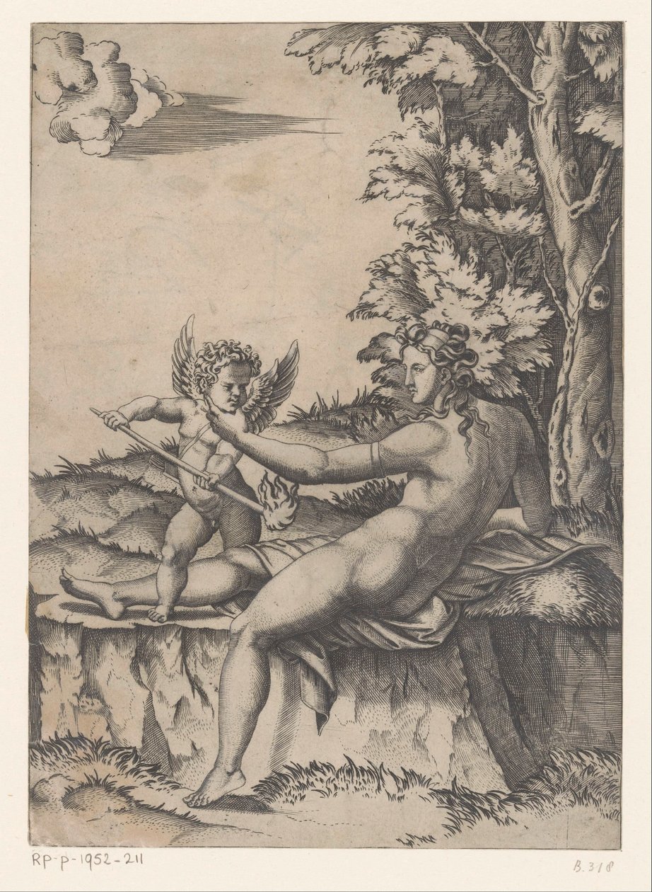 Venus forelsket av Agostino Veneziano