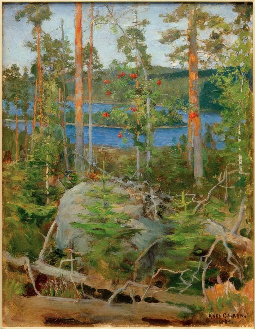 Utsikt over innsjøen Jamajärvi av Akseli Valdemar Gallen Kallela