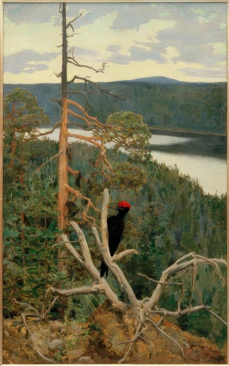 Den store svartspetten av Akseli Valdemar Gallen Kallela