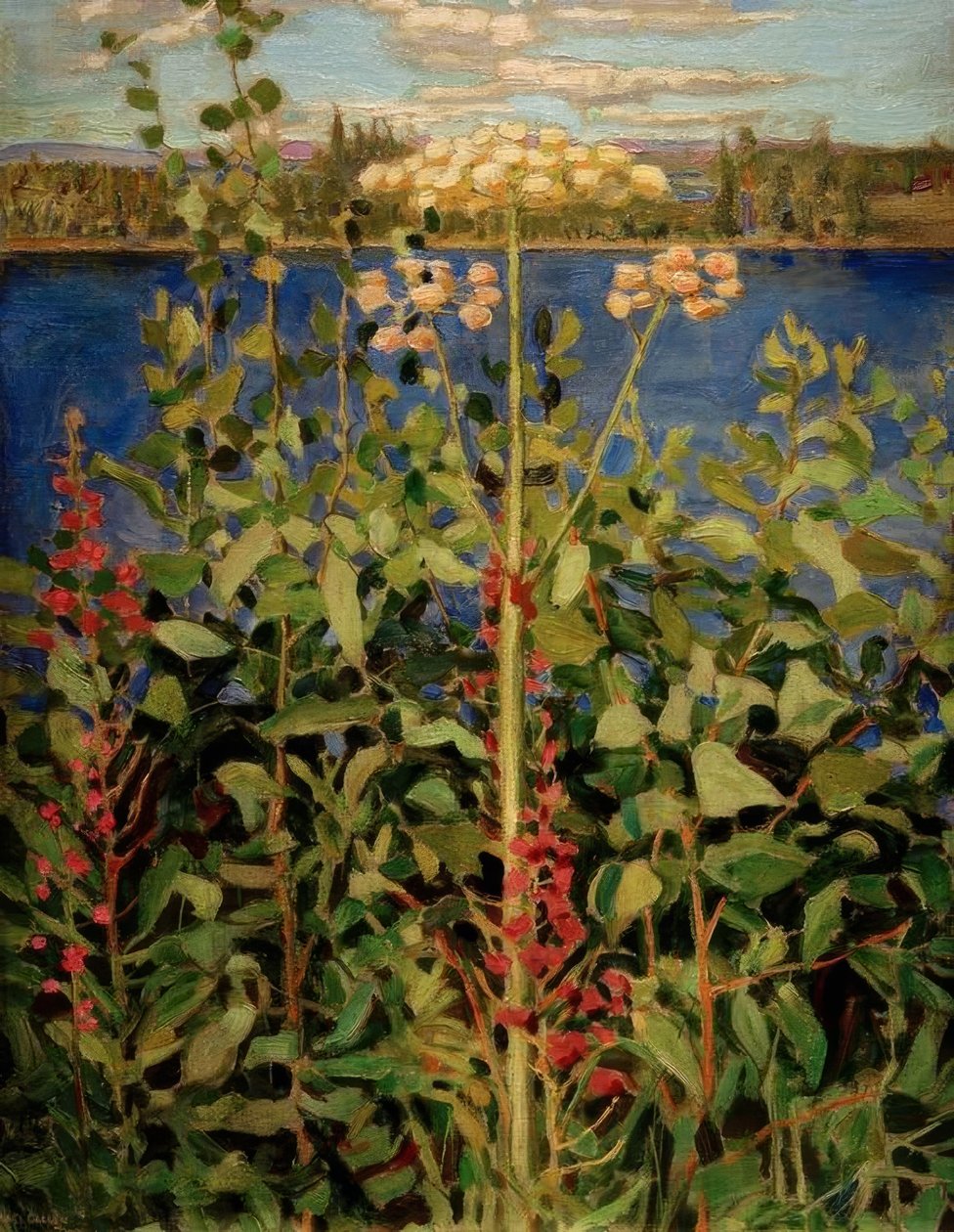 Vill Angelica av Akseli Valdemar Gallen-Kallela