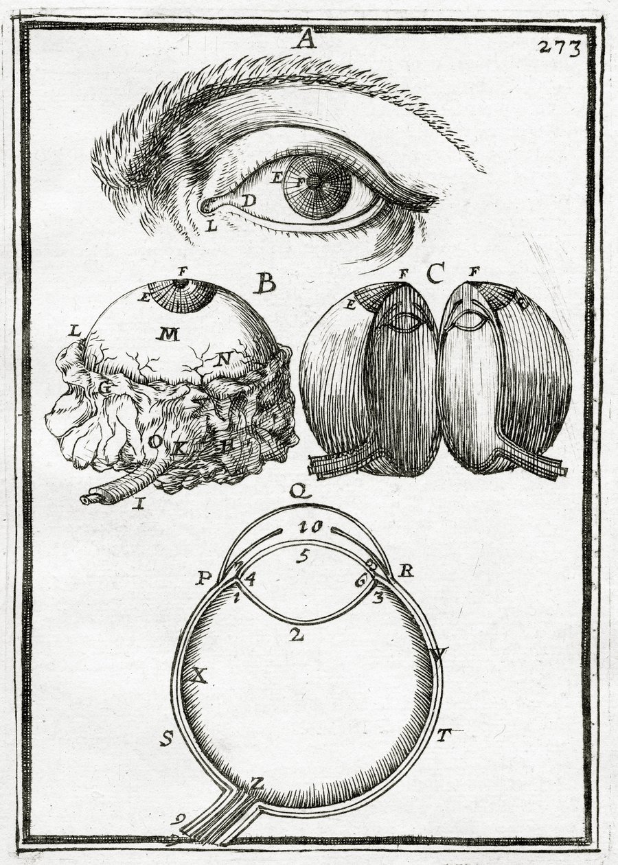 Illustrasjon fra La Geometrie Pratique 1702, av Alain Manesson Mallet