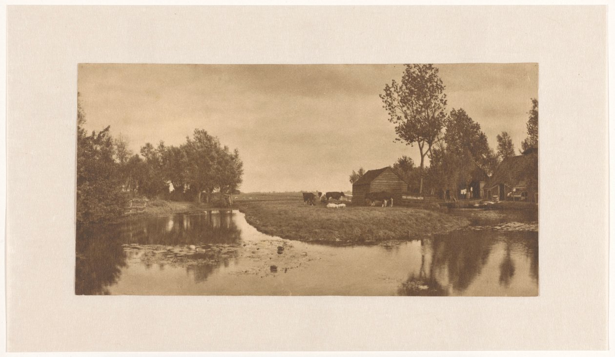 Landskap med gård og storfe på vannet, (Nord-Holland?), Nederland av Alb. Kapteijn