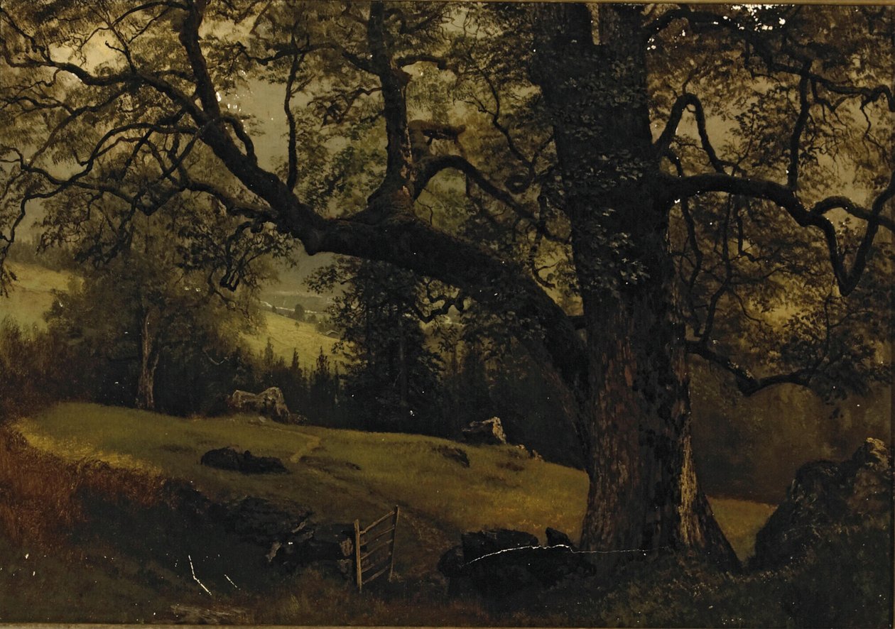 En sti gjennom trærne av Albert Bierstadt