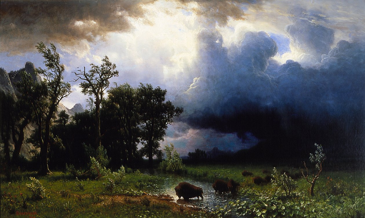 Buffalo Trail, The Impending Storm av Albert Bierstadt