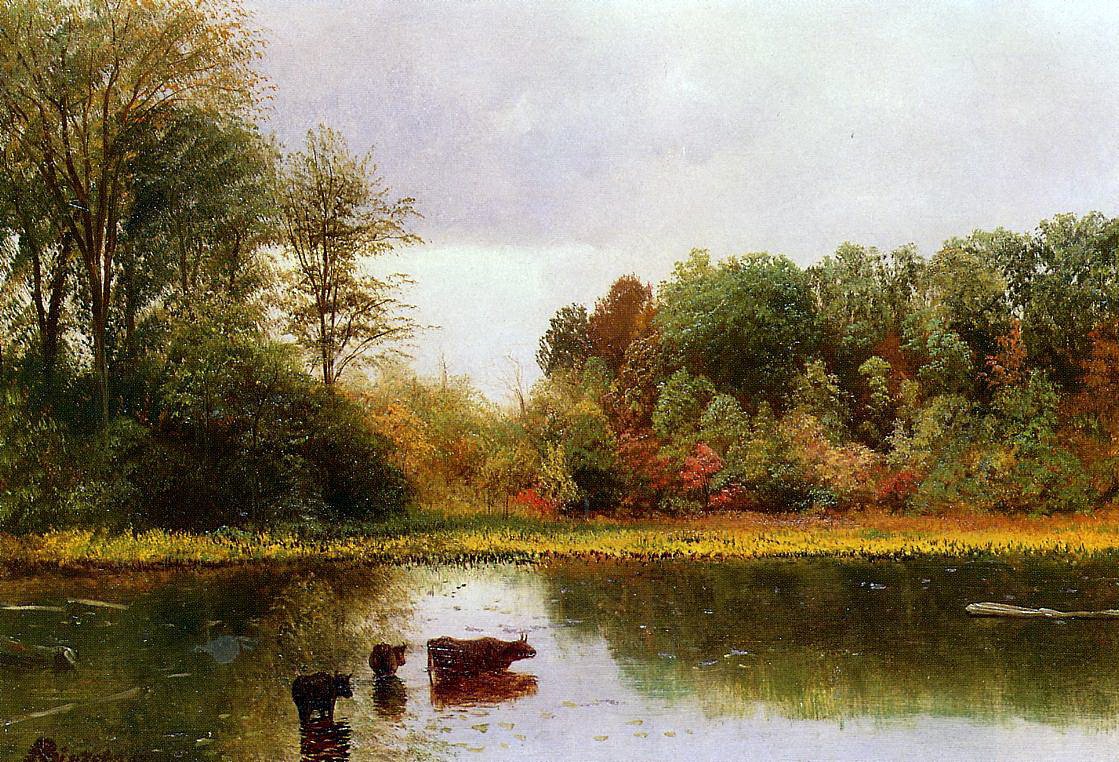 Kyr som vanner i et landskap av Albert Bierstadt