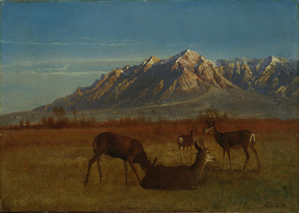 Hjort i Mountain Home av Albert Bierstadt