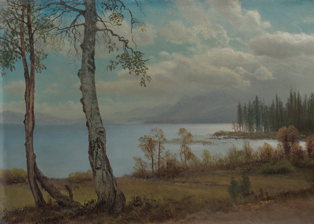 Lake Tahoe av Albert Bierstadt