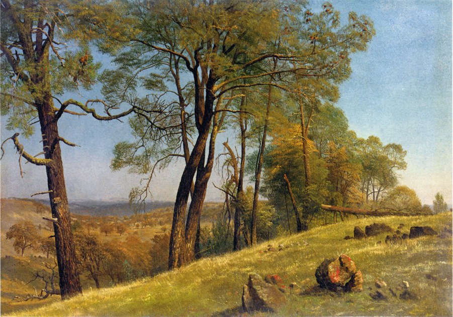 Landskap Rockland County California av Albert Bierstadt