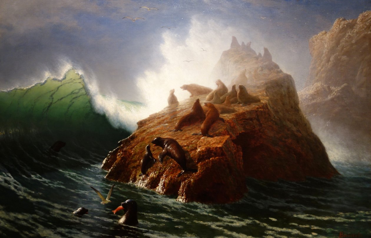 Seal Rock av Albert Bierstadt