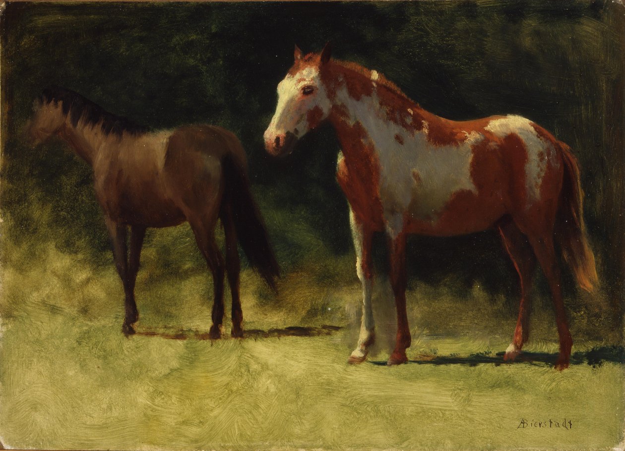 To hester av Albert Bierstadt