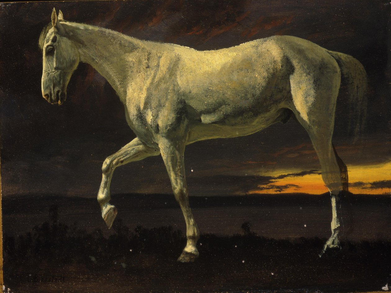 Hvit hest og solnedgang av Albert Bierstadt