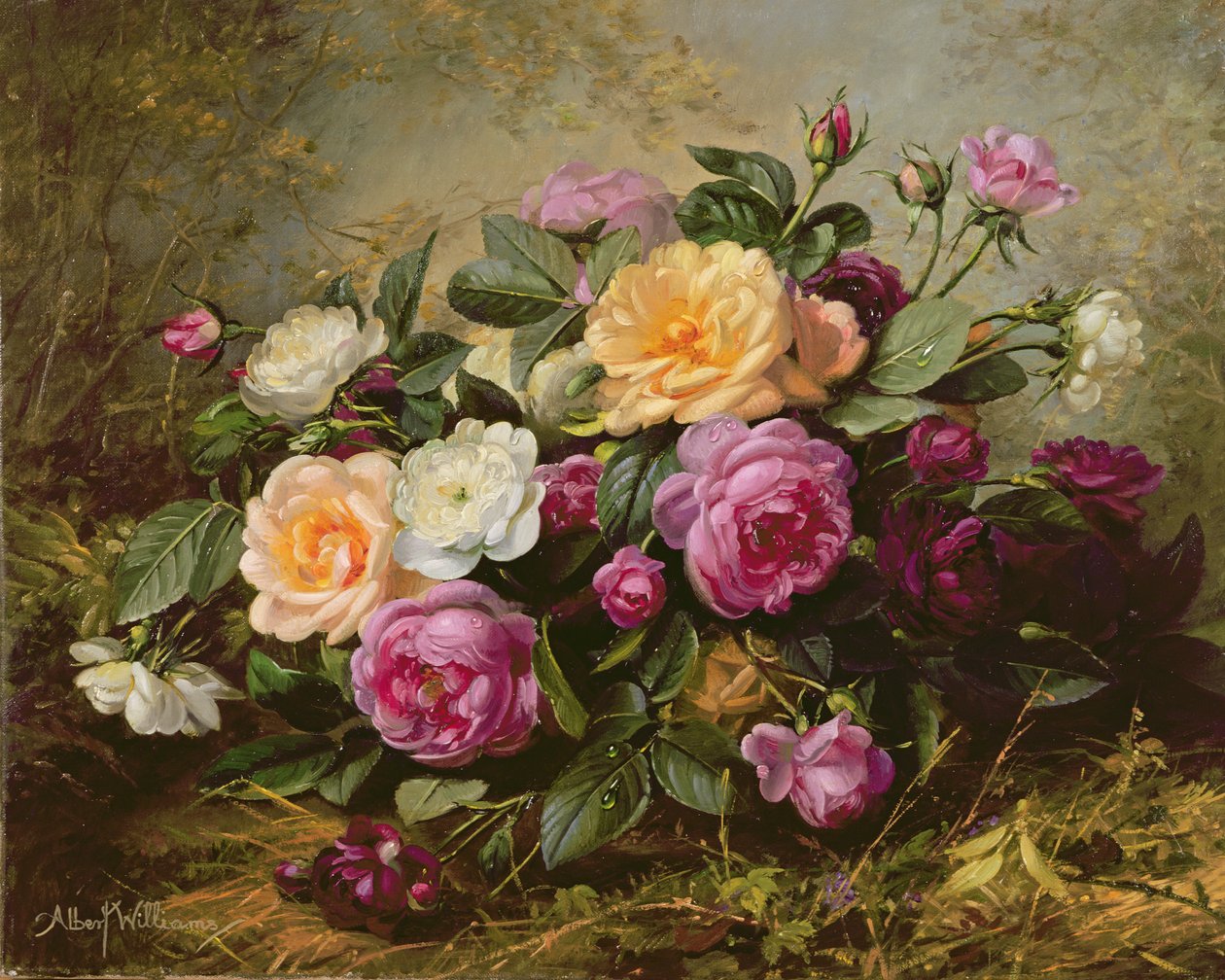 AB235 Full Blown Roses av Albert Williams