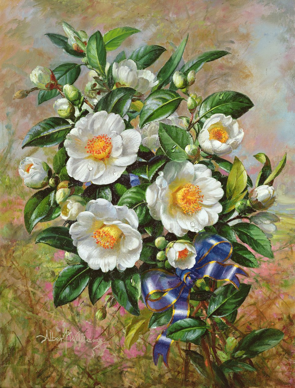 Coronation Camelia fra Golden Jubilee-serien, 2002 av Albert Williams