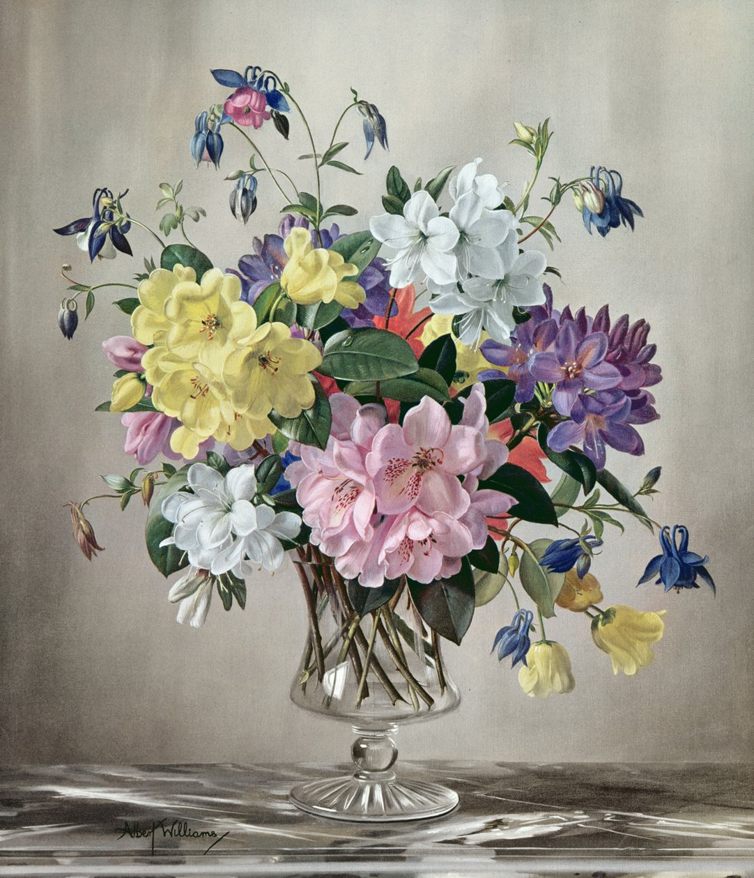 PB/321 Rhododendron, asalea og akeie i en glassvase av Albert Williams