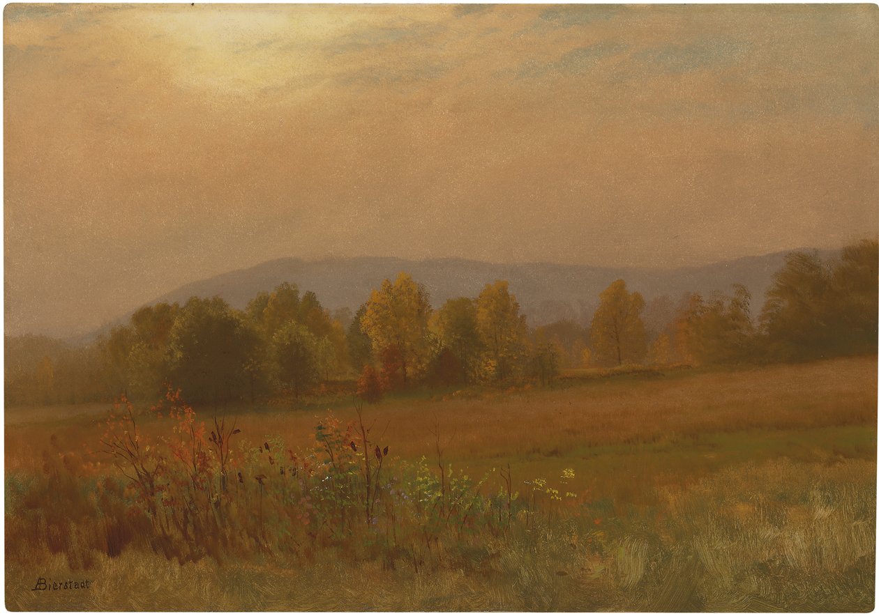 Høstlandskap, New England (olje på papir lagt ned om bord) av Albert Bierstadt