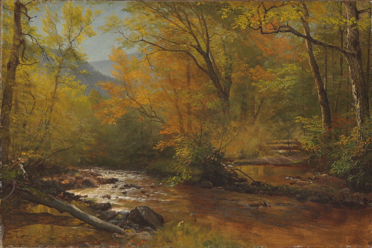 Bekk i skogen av Albert Bierstadt