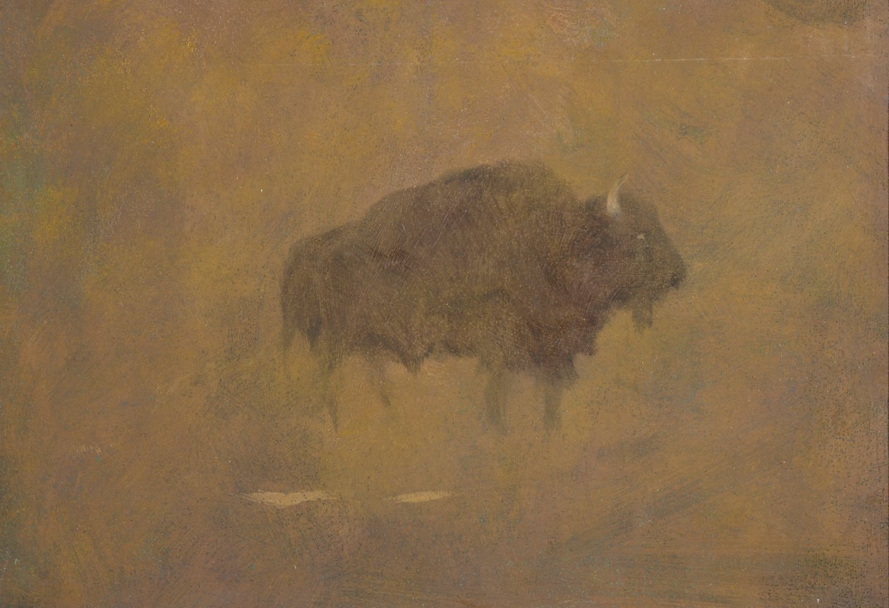 Buffalo in a Sandstorm (olje på papir montert om bord) av Albert Bierstadt