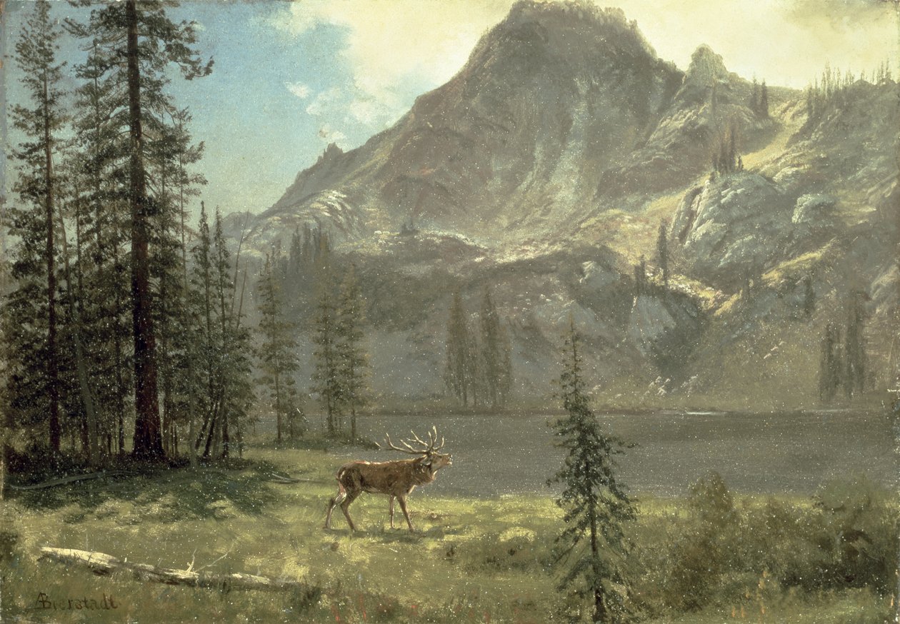 Call of the Wild av Albert Bierstadt