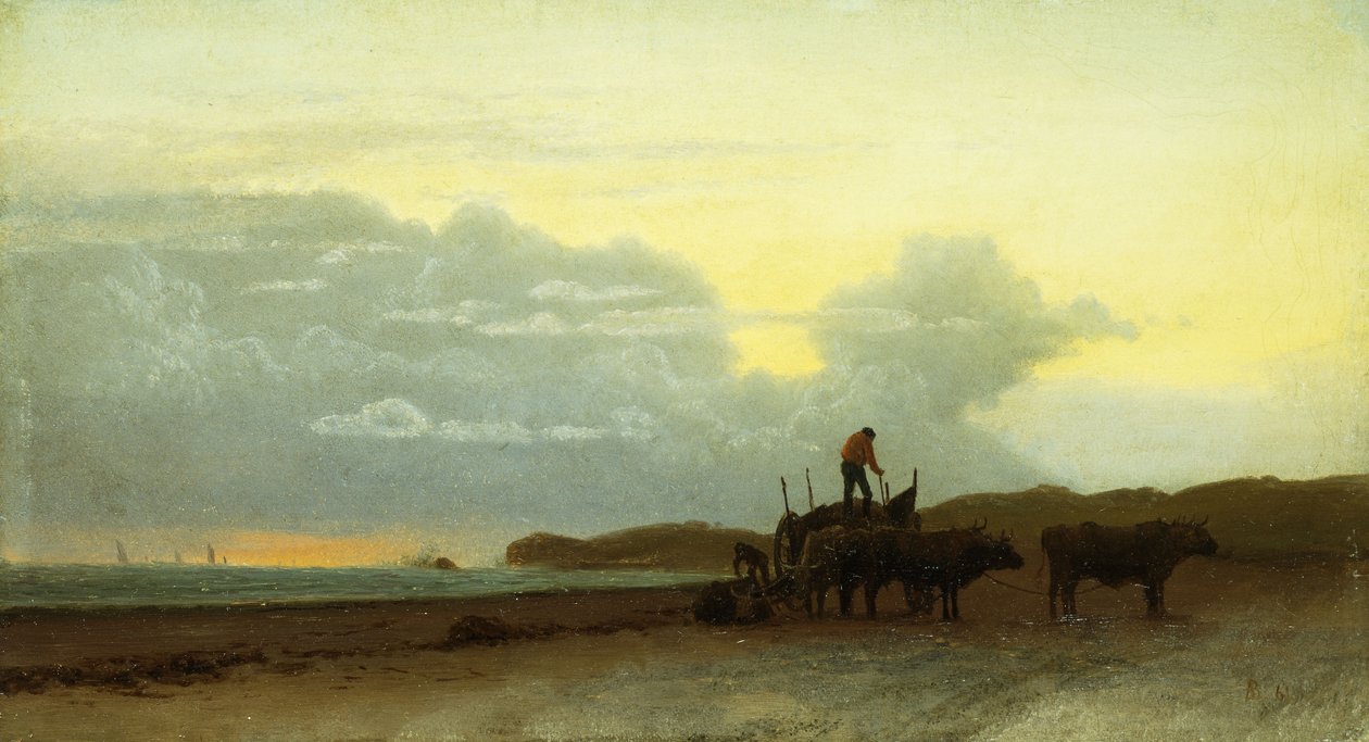 Coastal View, Newport, 1861 av Albert Bierstadt