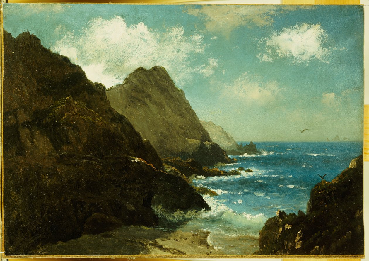 Farallonøyene av Albert Bierstadt