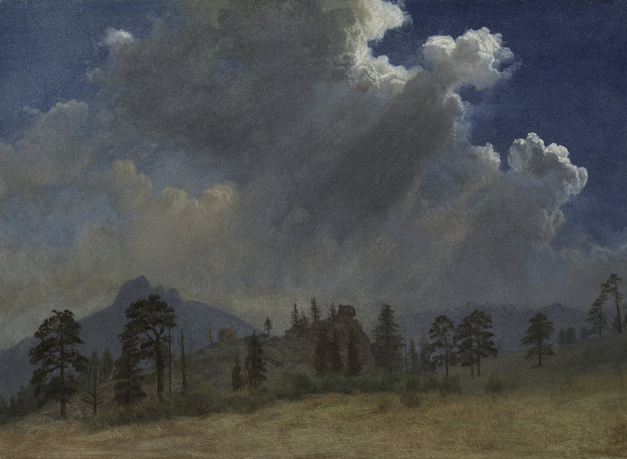 Edelgrantrær og stormskyer av Albert Bierstadt