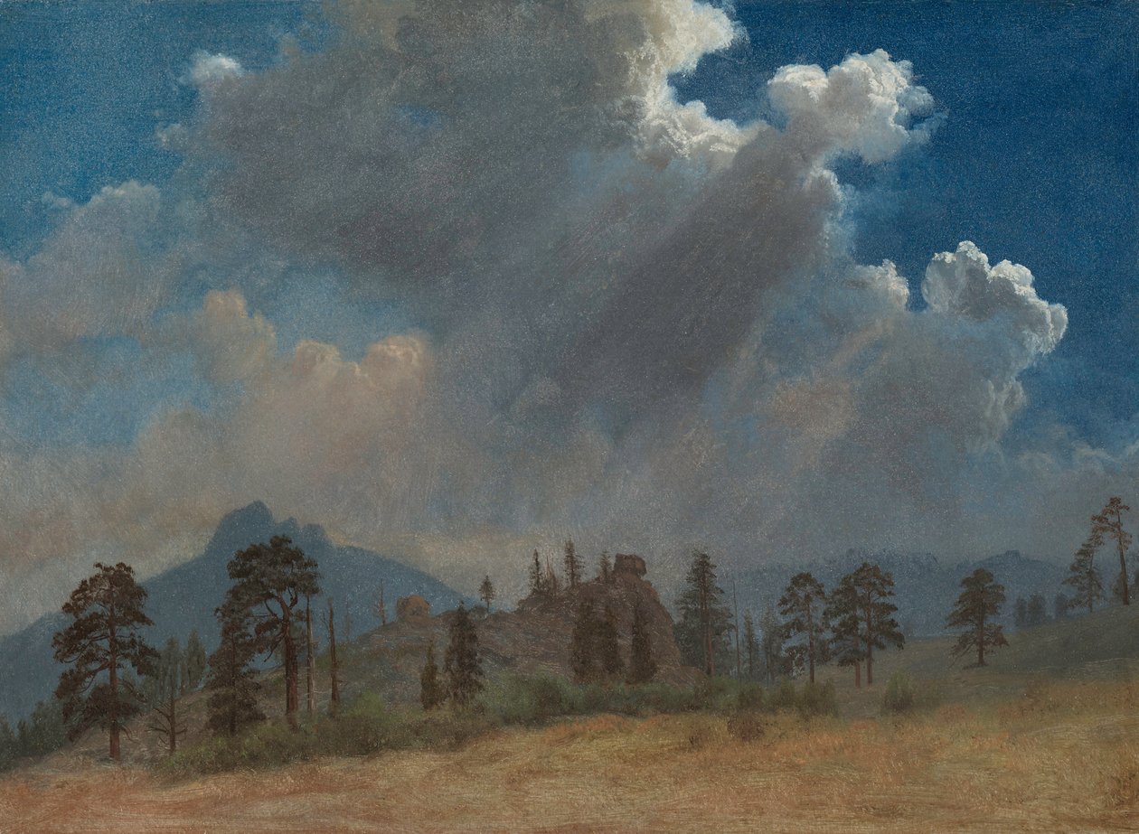 Grantrær og stormskyer, ca. 1870. av Albert Bierstadt