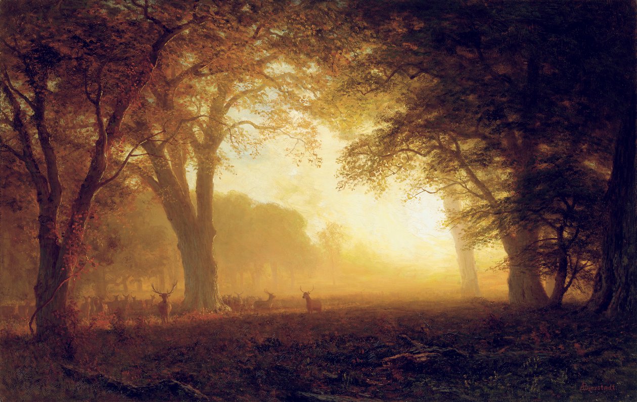 Golden Light of California av Albert Bierstadt