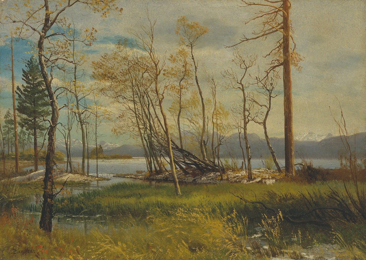  av Albert Bierstadt