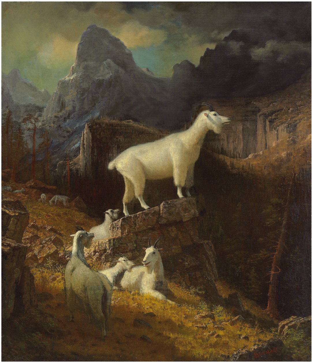 Rocky Mountain Goats, ca. 1885 (olje på lerret) av Albert Bierstadt