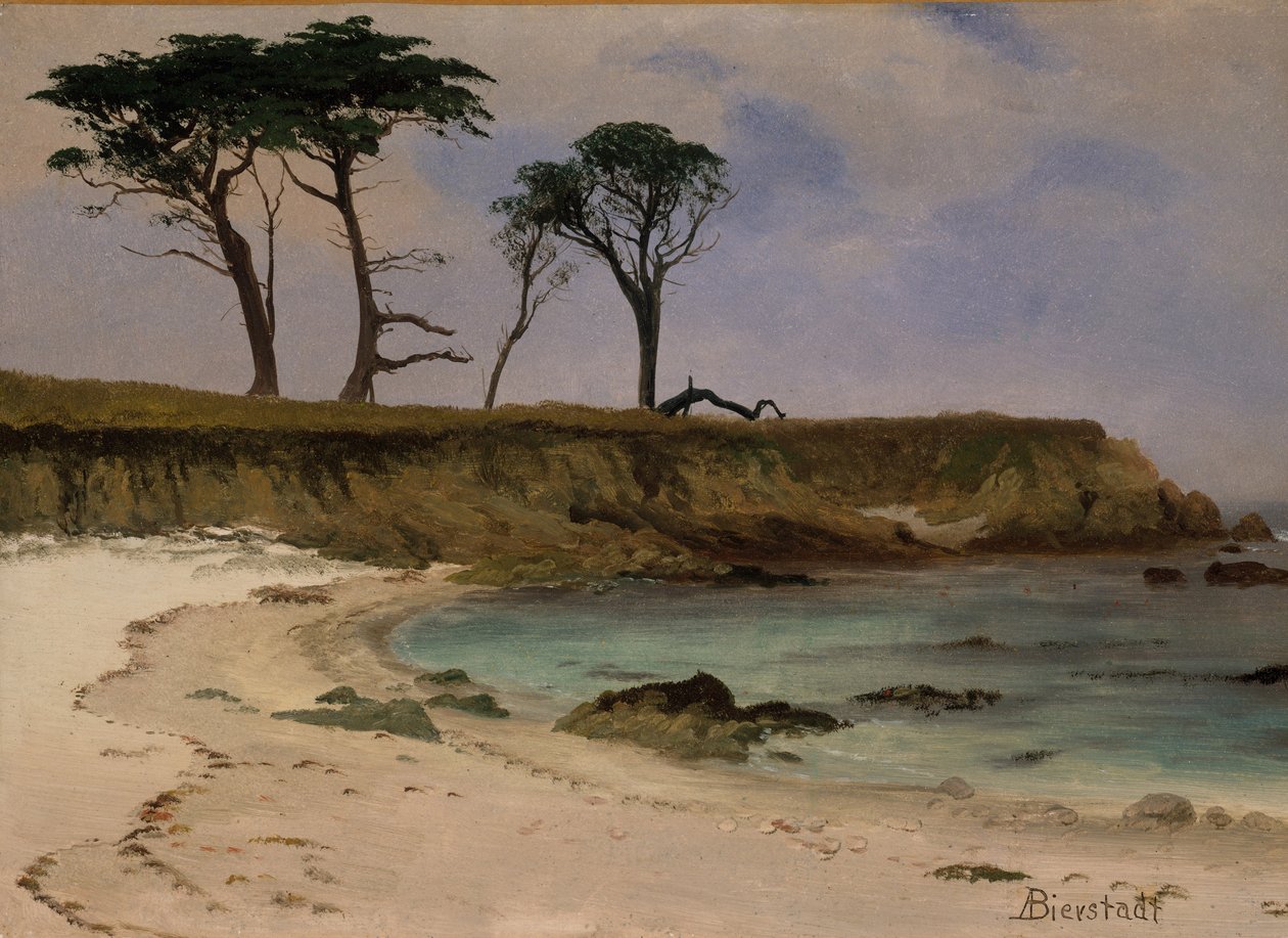 Sea Cove, ca. 1880-90 (olje på tre) av Albert Bierstadt